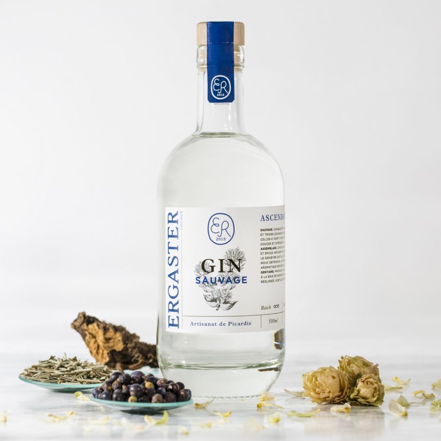 GIN Ascendance – ERGASTER