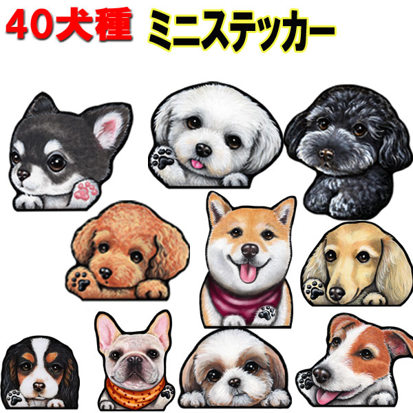 楽天市場】1000円ポッキリ 送料無料 ミニ 犬 ステッカー オリジナル