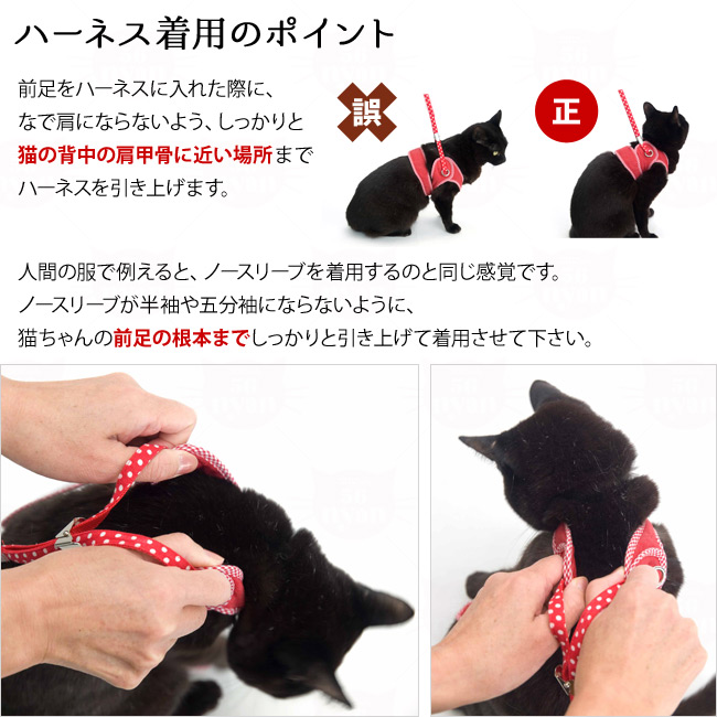 リード別売】ゴロにゃんオリジナル猫用ハーネス ダブルブロックタイプ