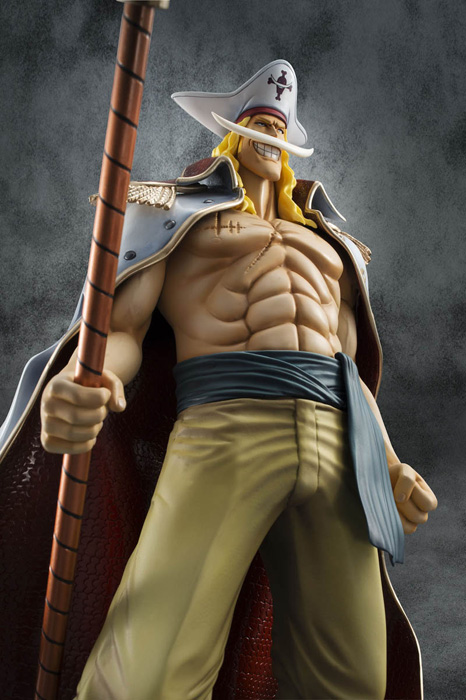 彩色済み完成品フィギュア Portrait.Of.Pirates ワンピースシリーズNEO