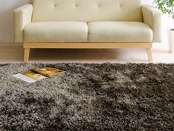 ラメ入りシャギーラグ(フランセル) 200×200cm | 家具・インテリア通販