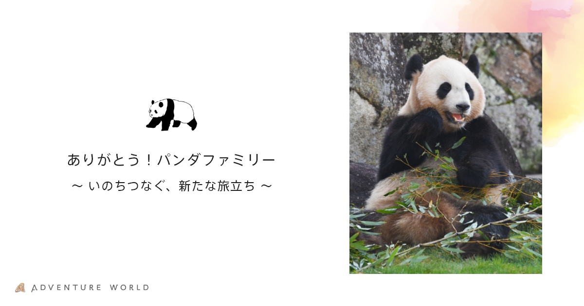 ありがとう！パンダファミリー｜今だから伝えたい、パンダたちへの31年