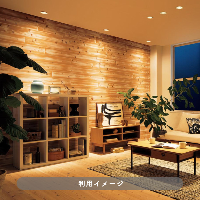 ダウンライト Φ100 LED 電球色・100W相当｜高演色｜照明のライティング
