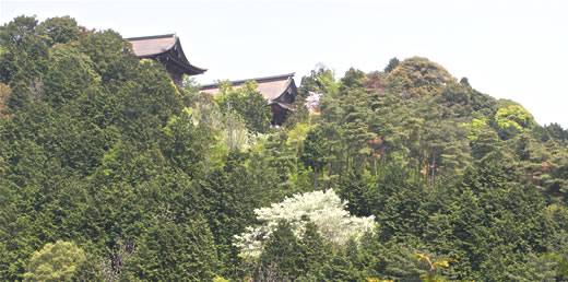 世界遺産 京都 醍醐寺