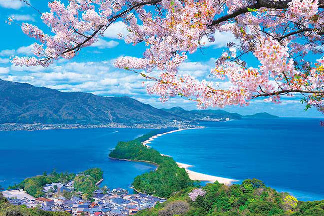 APP-1000-868 風景 桜咲く天橋立 1000ピース ［CP-SK］ アップルワン