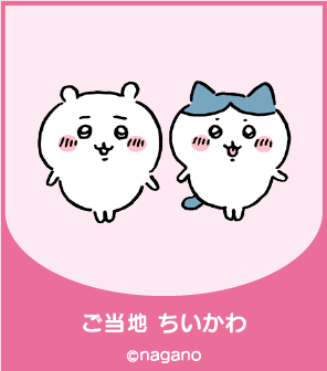 株式会社API