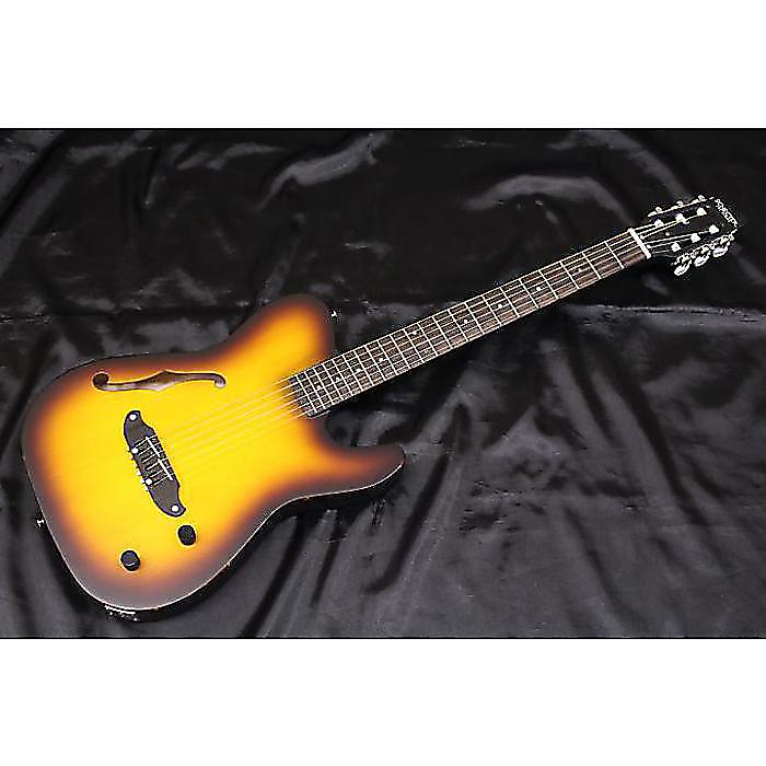 新品 SCHECTER(シェクター) ／ OL-FL-N-P TSB ナイロン弦 エレガット F
