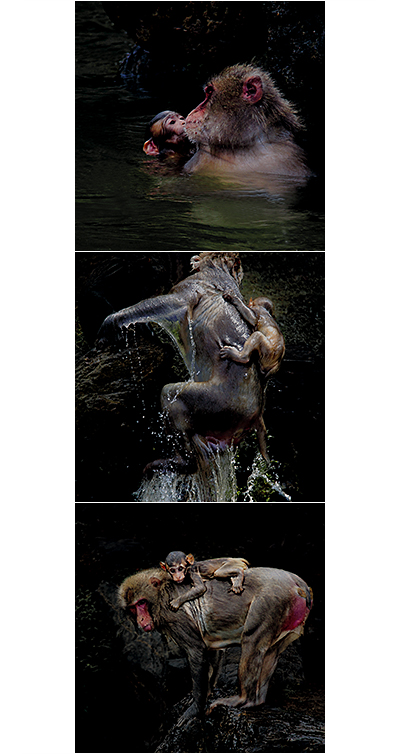 第63回二科会写真部展 – 一般社団法人二科会写真部