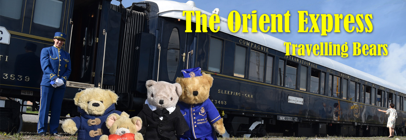 Travelling Bears exploring the World