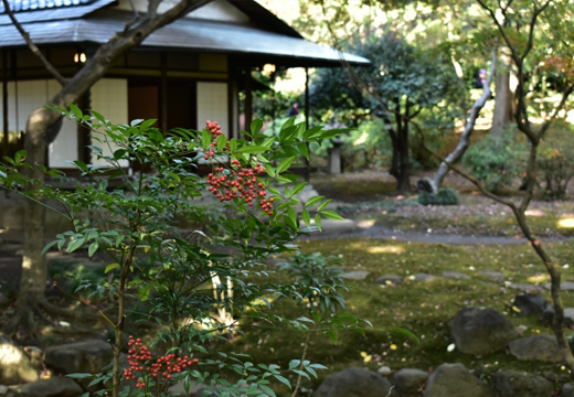 茶庭や露地の関守石（止め石）の製作｜山崎造園（兵庫県宍粟市山崎町高