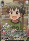 BNP ザ☆ワイルドストロベリー 星井美希(箔押し入り) 販売