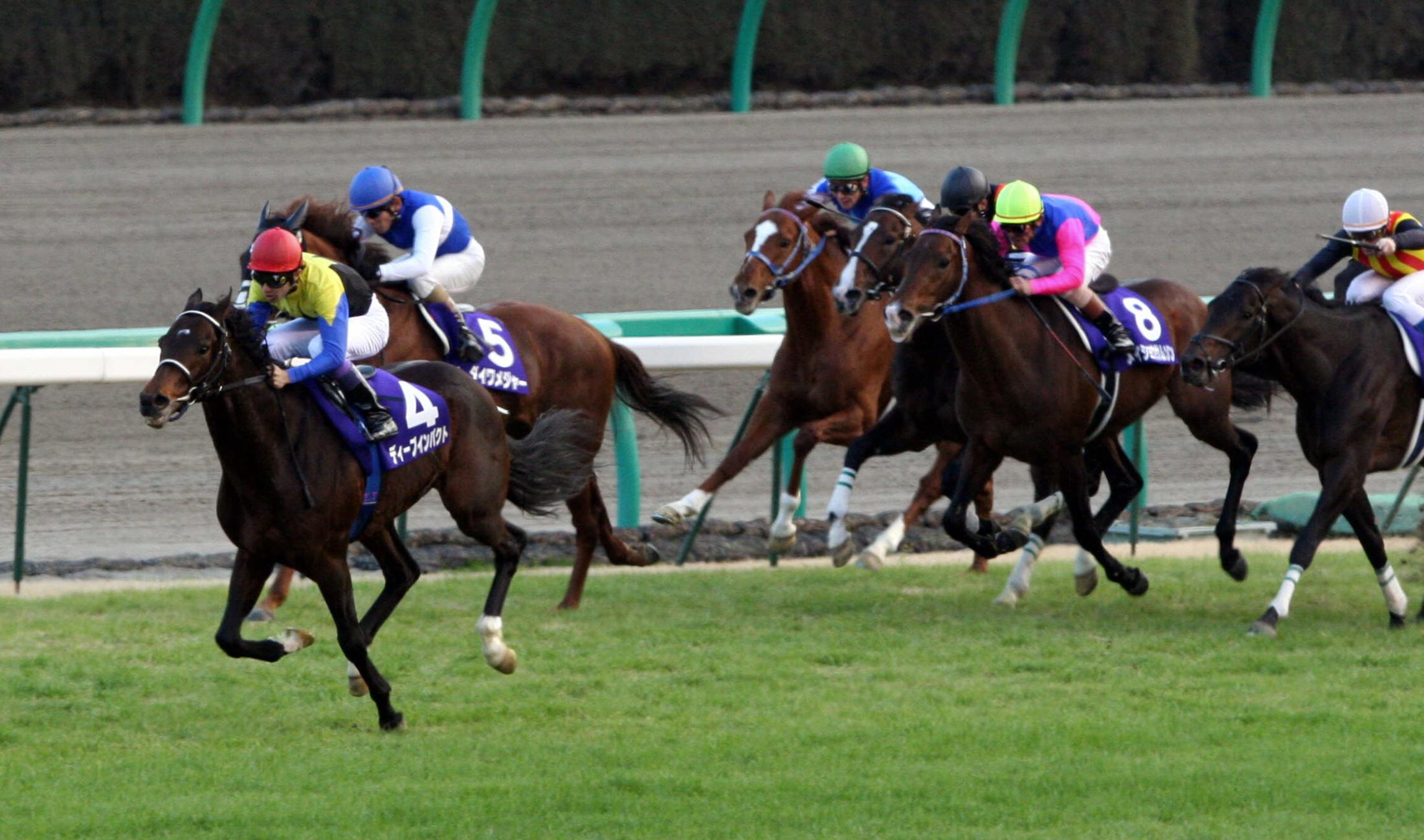 有馬記念】06年ディープインパクト 11万人超の観客の目に焼き付け