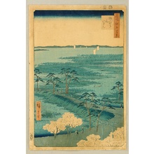 Japanischer Druck 