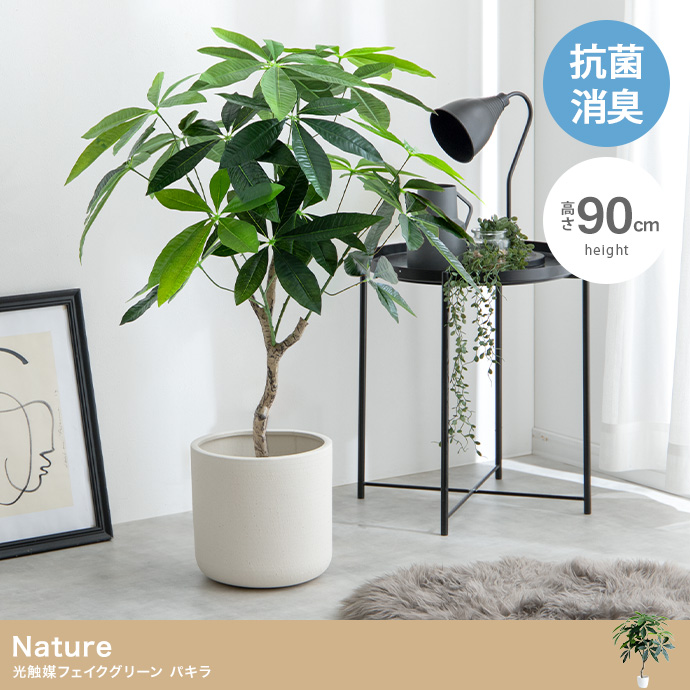 光触媒 人工観葉植物 ウォールグリーン フェイクグリーン トネリココ