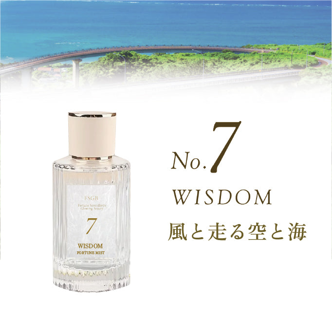 No8. PROSPERITY 星降る夜空】FSGB Fortune Mist エフエスジービー