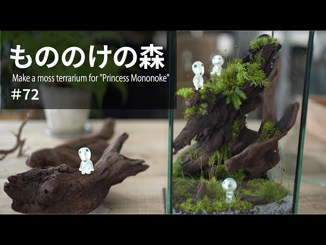 Make a moss terrarium for 