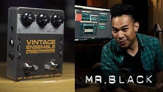 Mr Black Vintage Ensemble Stereo Chorus/Vibrato - YouTube