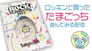 ロッキンでたまごっち買ったよ - YouTube