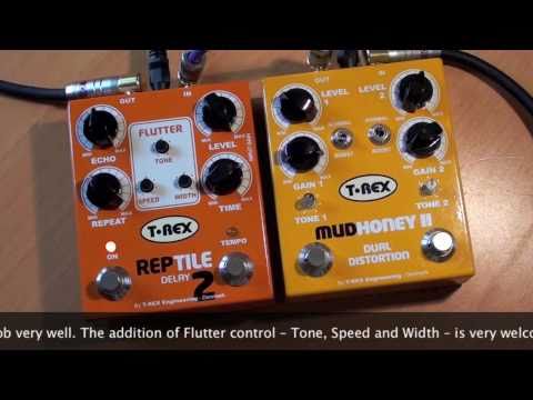 T-Rex: Reptile 2 Analog Tape Echo Simulator - YouTube