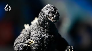 S.H.MonsterArts】GODZILLA(1989) Movie Graphic Plus UNBOXING