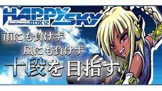 beatmania IIDX HAPPY SKY サイドポップ 1個 Game Music - Beatmania