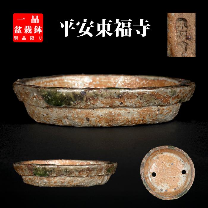 盆栽鉢 東福寺織部釉南蛮丸鉢 植木鉢 初代 平安東福寺 トウフクジ 4号