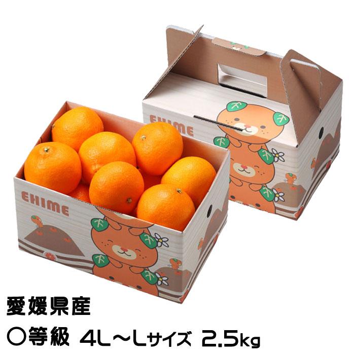 みかん あいか 〇等級 4L〜Lサイズ 2.5kg みきゃん箱入 紅まどんなと同