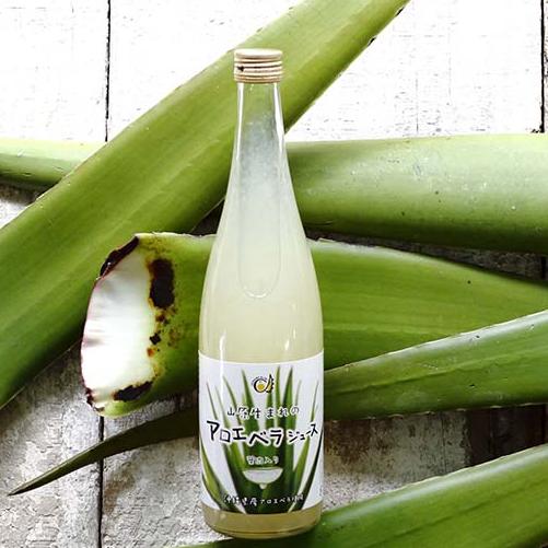 沖縄アロエ アロエベラジュース 沖縄県産 アロエ アロエジュース 720ml