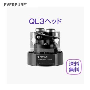 エバーピュア 4DC 浄水器カートリッジ 業務用 : 厨房 キッチンプラス