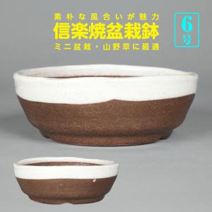 盆栽鉢 鴻陽瑠璃ピンク結晶釉隅入長方鉢 色鉢 ネイビー ピンク 常滑 5