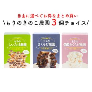 クリスマスローズ開花株 DDメロンゴールド系グリーンゴールド