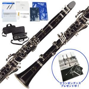 B♭管クラリネット Ripa（リパ）Italy 310RRG : 管楽器専門店ダク
