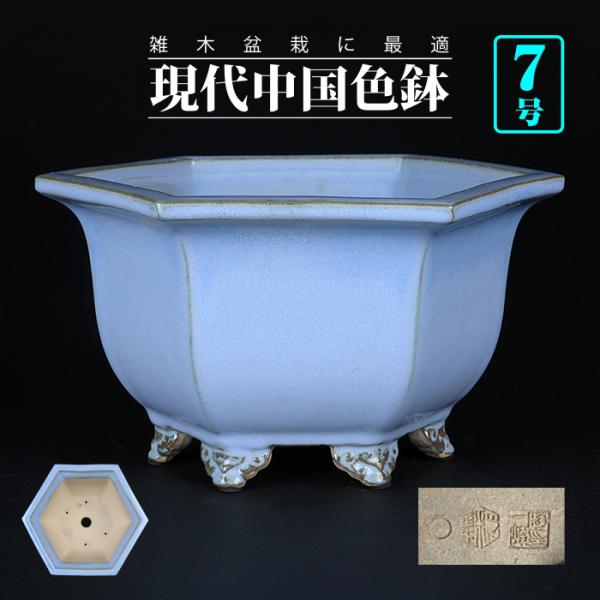 bonsaisaite_h110379