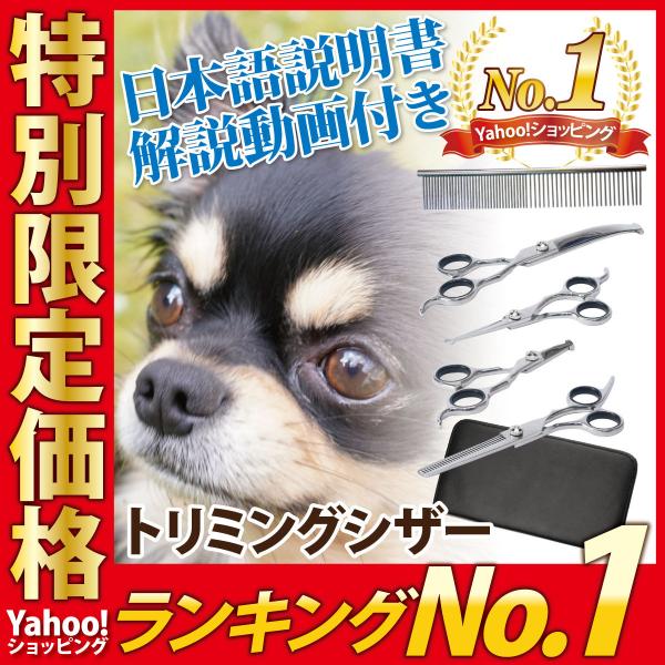 himjp_10000012