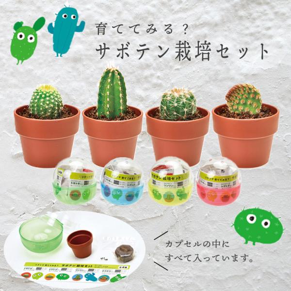 サボテン 栽培セット タネ 種 植物 ミニ カプセル ガチャガチャ 育てる