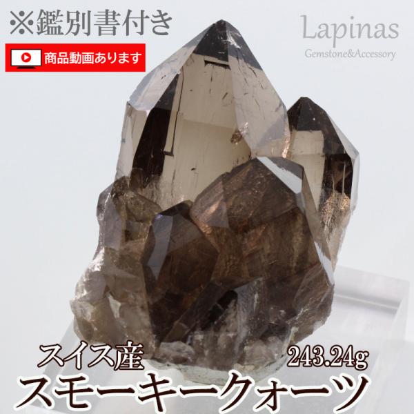 lapinas_gs19