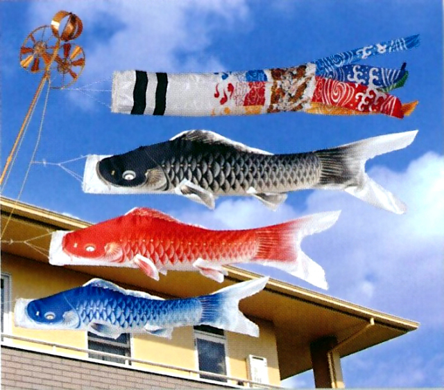 鯉のぼり,東旭,福島積美画,スーパースターゴールド,端午の節句,五月