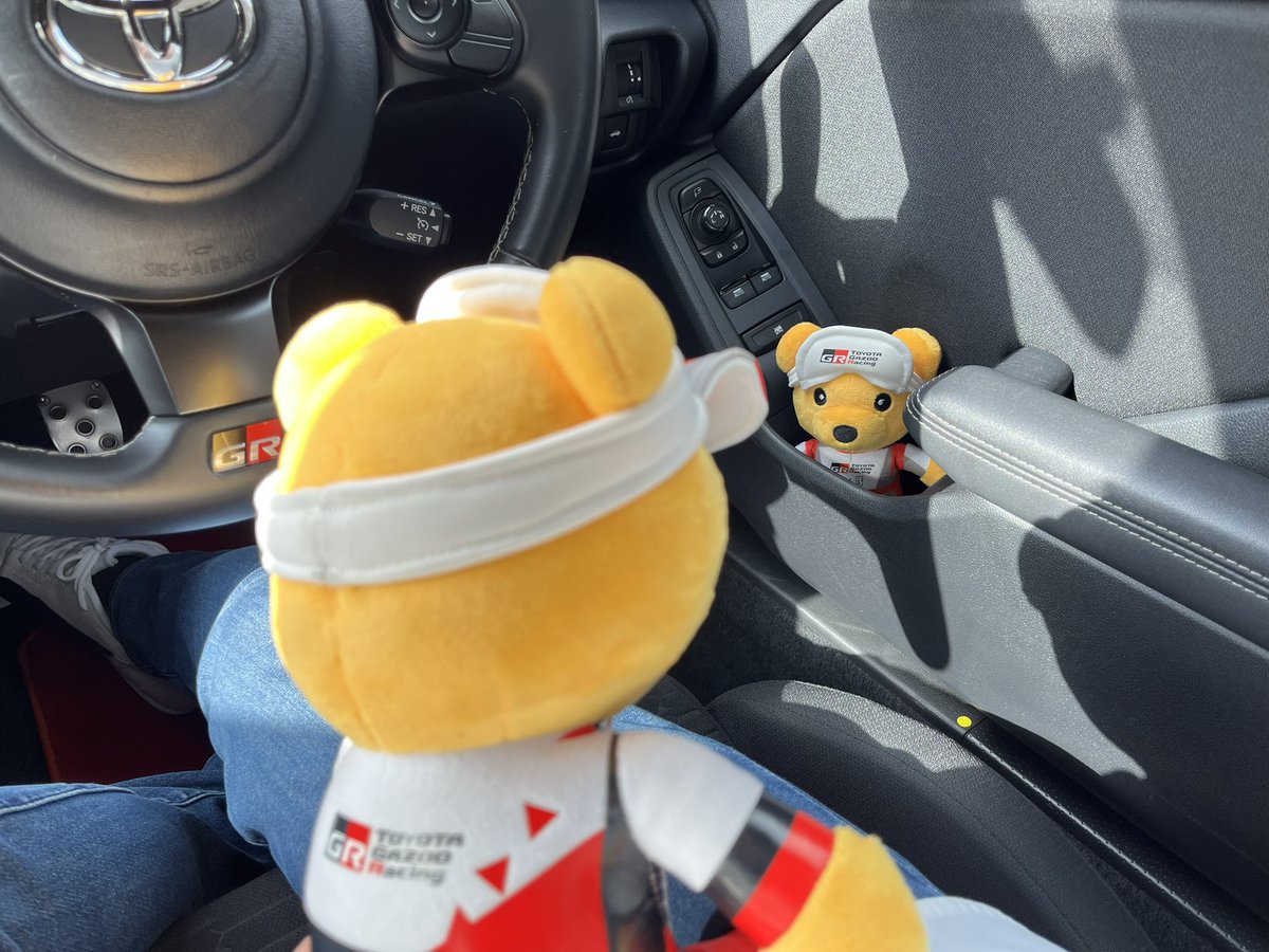 🐻 👀🐻…..
