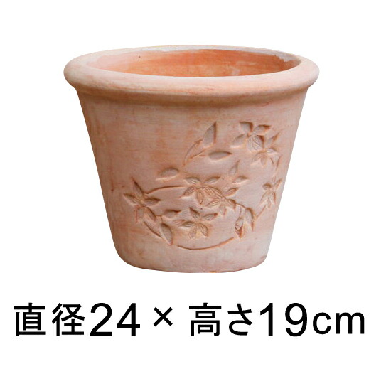 素焼き鉢 鉢」の人気商品一覧 | 安い商品を通販サイトから探す - 価格.com