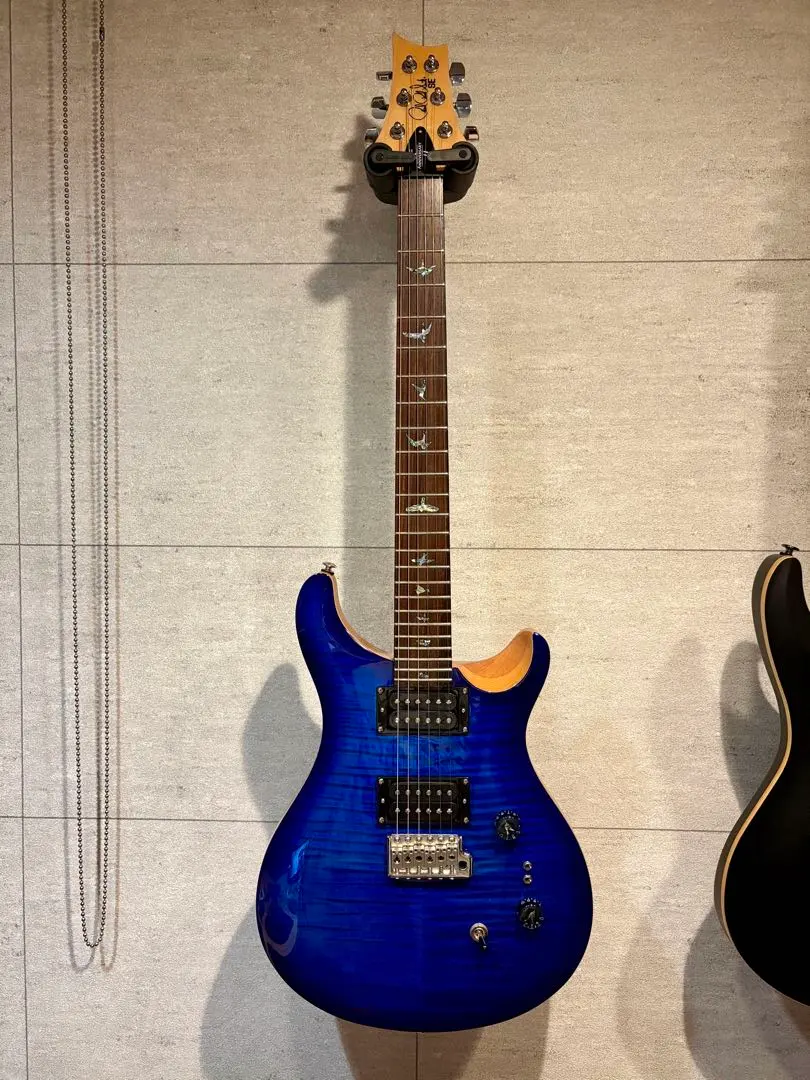 2026年最新】prs se ペグの人気アイテム - メルカリ