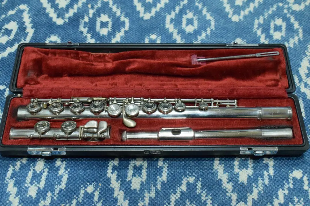 2026年最新】Yamaha YFL-221の人気アイテム - メルカリ
