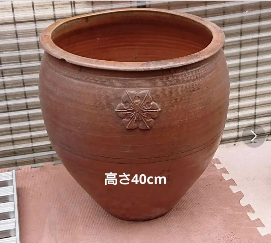 2026年最新】水瓶 メダカの人気アイテム - メルカリ