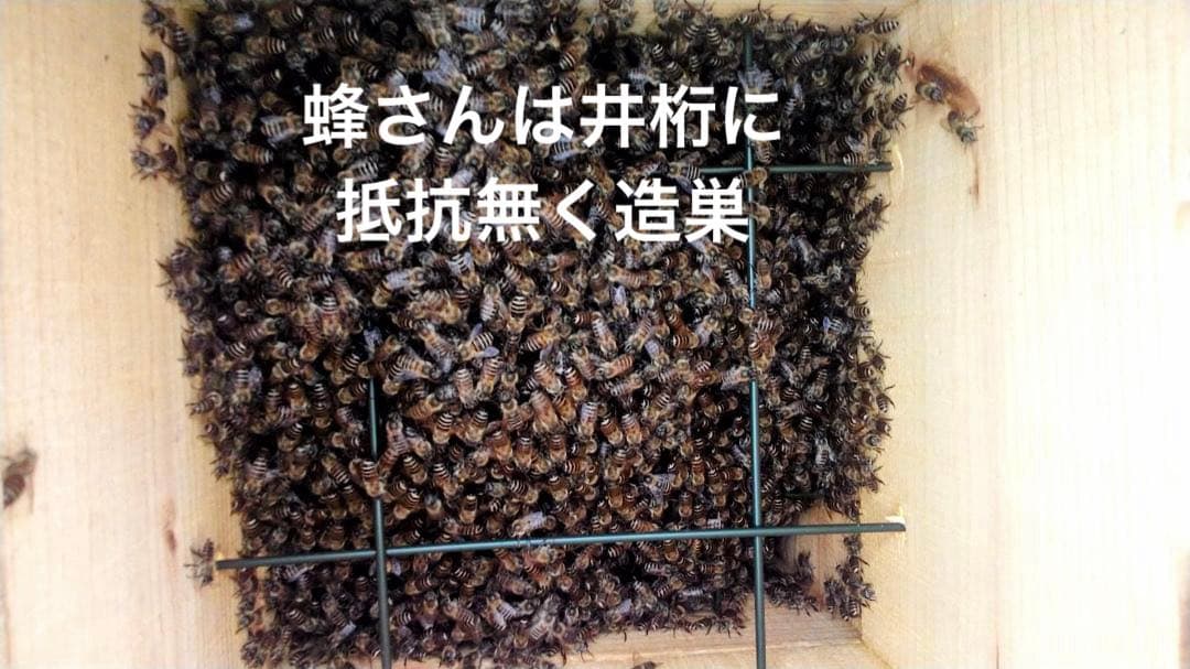 ニホンミツバチ重箱式巣箱4段 スライド底板 付巣門台座 スノコ付き