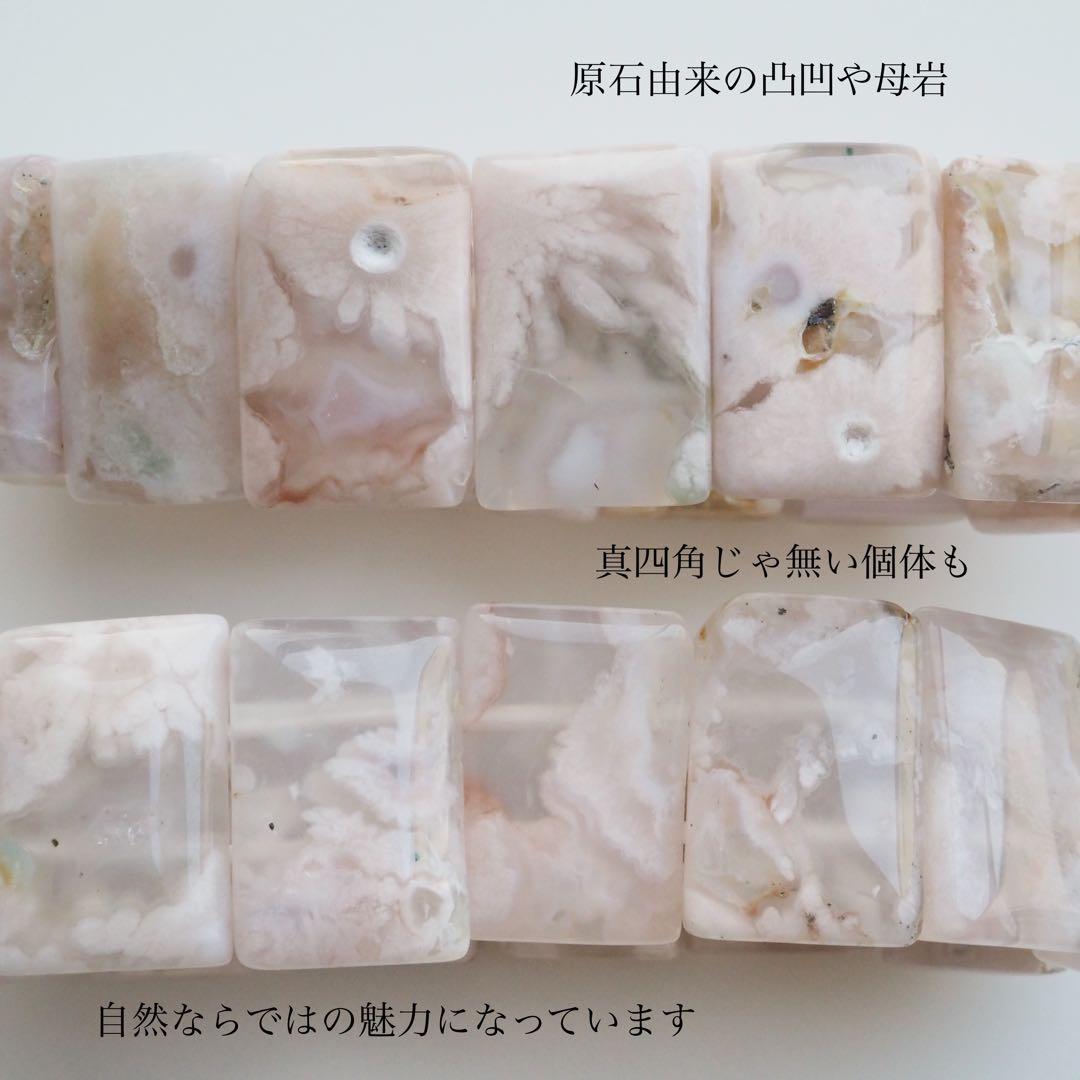 はくとん( 'ω')ŧ‹
