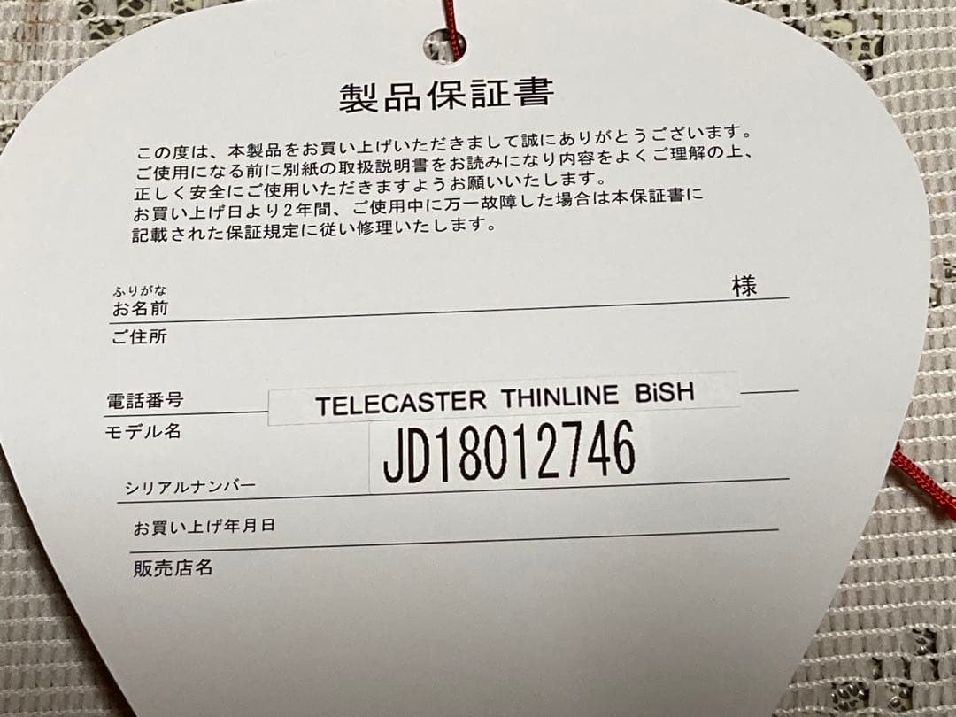 Fender Telecaster Thinline “BiSH”