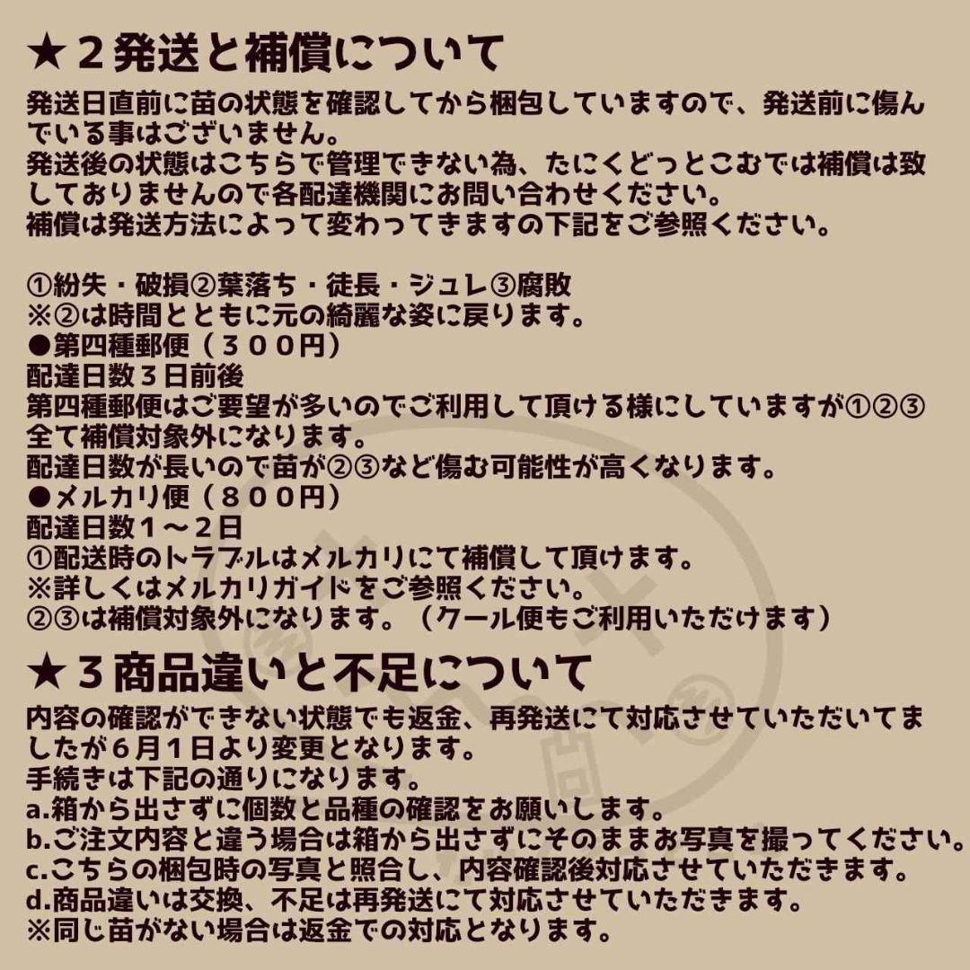 セール中◎韓国鉢(158)◎個別購入はご希望の番号をコメントお願いします♡
