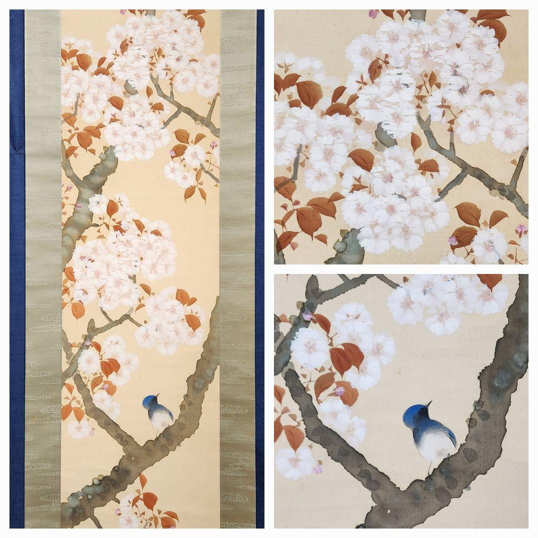 【桜花小禽図】山田耕雲 2688 サクラに鳥 春掛け 花見 掛け軸 肉筆 共箱 山田耕雲 糸桜小禽 | 掛軸(掛け軸)販売／表装ご依頼は掛軸いっぷく掛軸