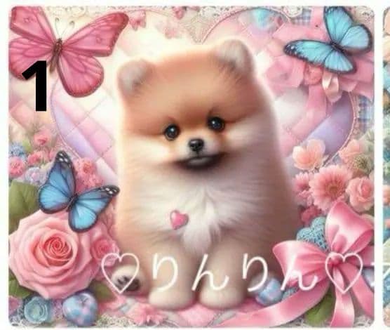 ★オーダーページ★ハンカチ　パッチワーク　ポメラニアン柄5/17 Enjeau（アーンジョー） 日本製 ポメラニアン ミックス ペアーズ