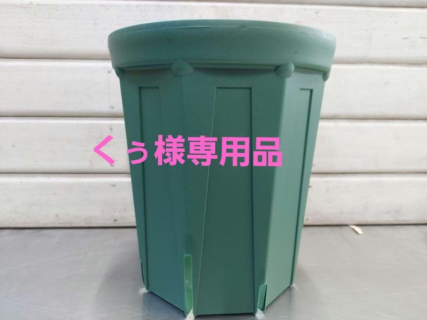 専用品　スリット鉢ロング　210Ｌ7p&180Ｌ17p スリット鉢 CSM-210L（7号ロング） モスグリーン – KUROKO