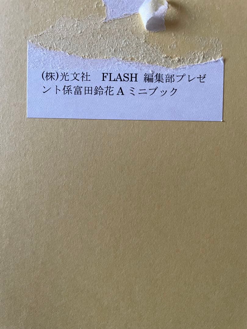 日向坂46 富田鈴花 写真集 特製アザーカットミニブック写真集　未開封 Amazon.co.jp: 富田鈴花 アザーカット写真集 : おもちゃ
